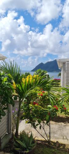 studio cosi, jardin privé, vue magique depuis piscine à débordement de la résidence, Le Diamant (foto 6)