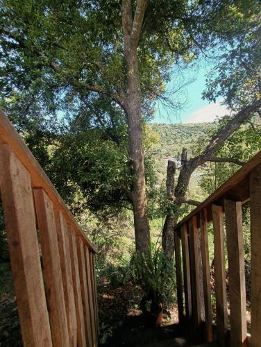 Valchi Hospedaje de Montaña (Valchi Hospedaje de Montana) in Copey
