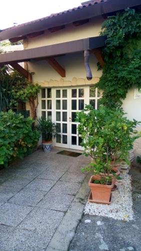 Casa Yami - image 14