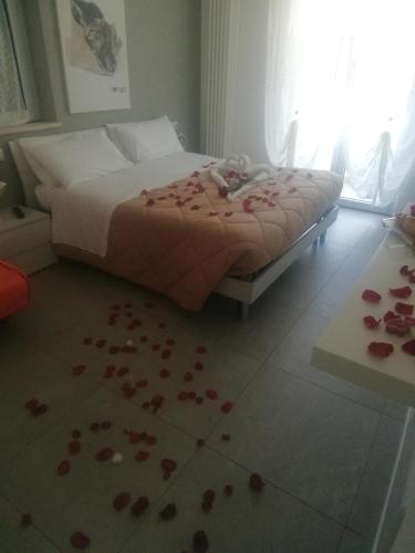 A casa di cinzia 5