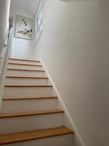 Fully renovated House in Silver Spring, Md in Silver Spring (MD)