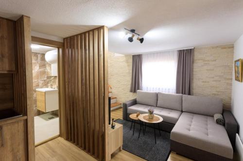 Casa Vrelo, Golija in Plešin