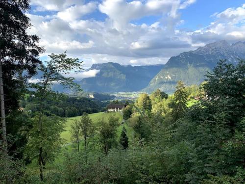 Urlaub mit Hund im Salzburger Land