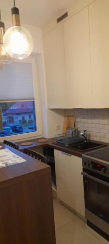 Konyha, Friends - Mieszkanie 53m2 - dwie kawalerki z łazienką (Friends - Mieszkanie 53m2 - dwie kawalerki z lazienka) in Ksiazenice