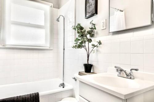 The Dreamy Escape on Lower Greenville in Dallas, USA