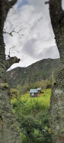 casita en la montaña, cabañas paraíso