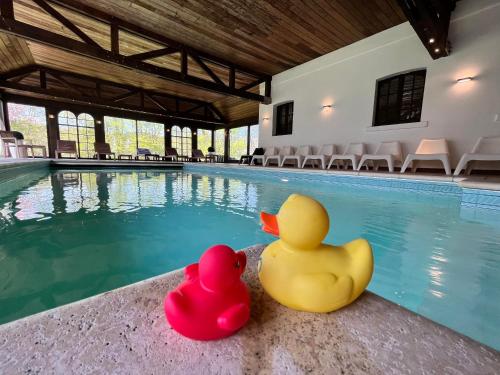 Le Tri Renard Spa chambre d'hôte Spa