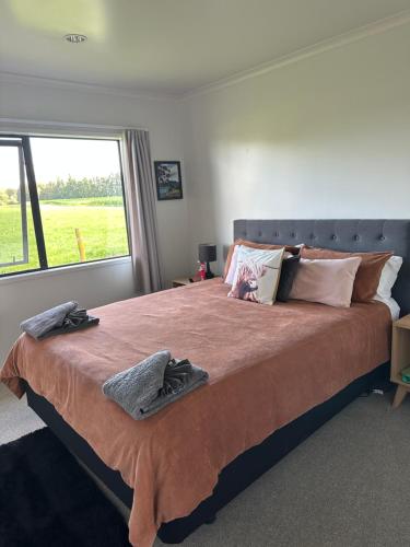A Place in the Paddock, Matamata (fotografie 7)