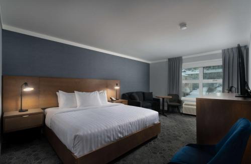 1 king bed
