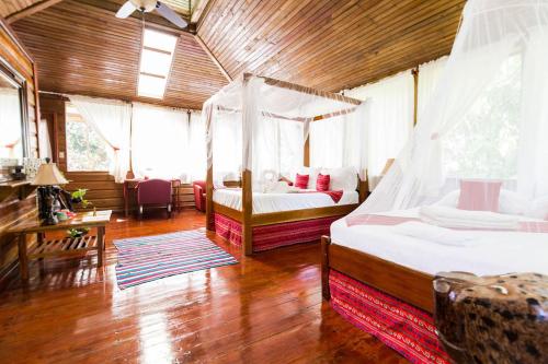 Jaguar Creek in Belmopan