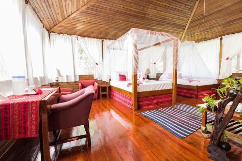 Jaguar Creek in Belmopan