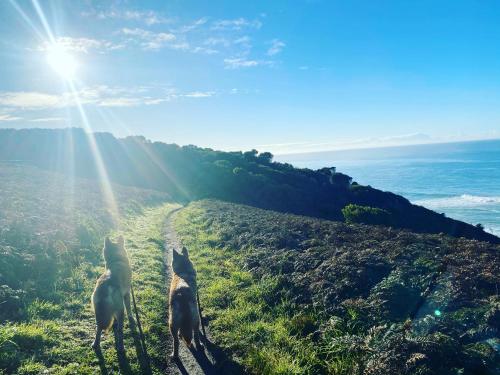 Great Ocean Road Wellness and Nature Stay