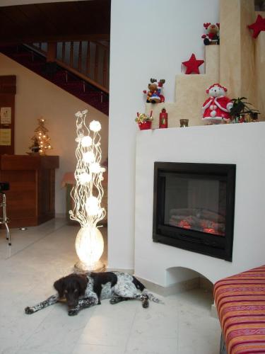 Erlebnis-Hotel-Appartements - main image