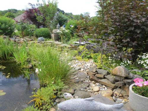 Apartment with idyllic garden in Daun Apartment with idyllic garden in Daun