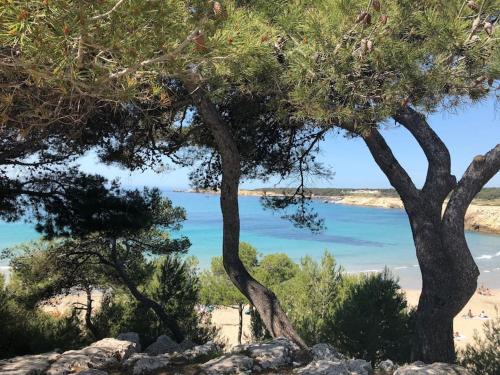 Mazet provencal au coeur des Alpilles La Rêverie