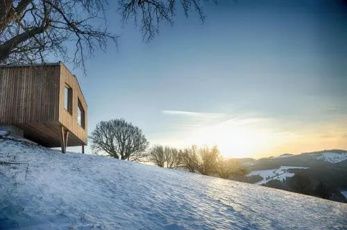 Ein Elsbeer Chalet Mitten in der Natur in Mayerhöfen, Österreich
