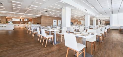 Globales Mimosa - image 8