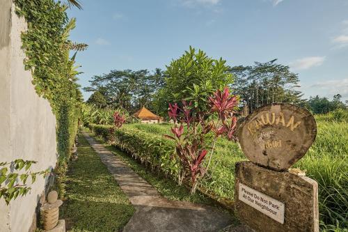 One Bedroom Villa with Private Pool image 2