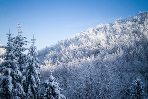 Poniwiec Mala Czantoria