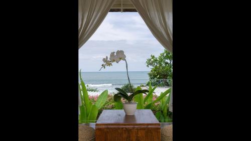 Beachfront 1 Bedroom Private Pool Honeymoon Villa in Seminyak