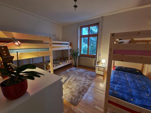 Private room with 6 beds, for groups or for family