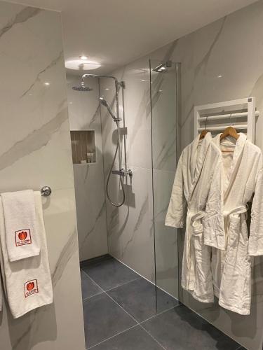 Alp de Veenen Hotel - image 3