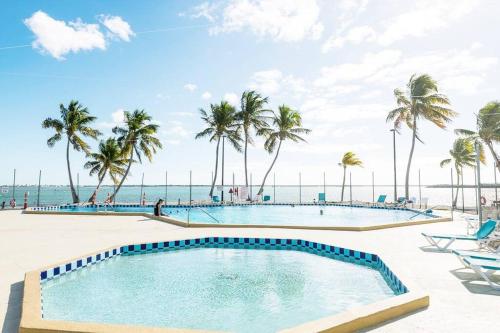 Úszómedence, OCEANIA... water front cottage retreat ~ in Cudjoe Key (FL)