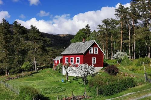 Alone In The Woods With Your Own River Nearby - Fitjar