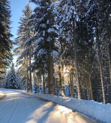 Familienapartment Sonne und Schnee