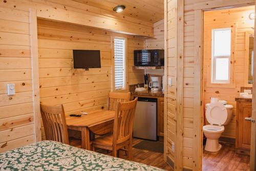 Tahoe Valley Cabin 1 - image 10