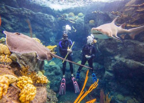 Cozy sanctuary minutes from the bay and beaches Cozy sanctuary minutes from the bay and beaches