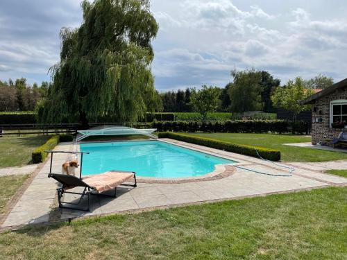 Peldbaseins, Met de Kippen op Stok - Vakantiehuisjes in Leudal