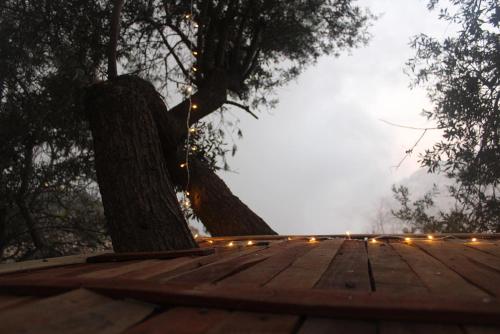 View, Hobbit village in Dana