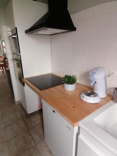 Charmant gîte : Les flambeaux (Charmant gite : Les flambeaux) in Mareuil-en-Brie