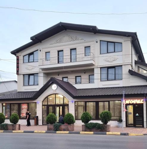 . Hotel Bacsoridana