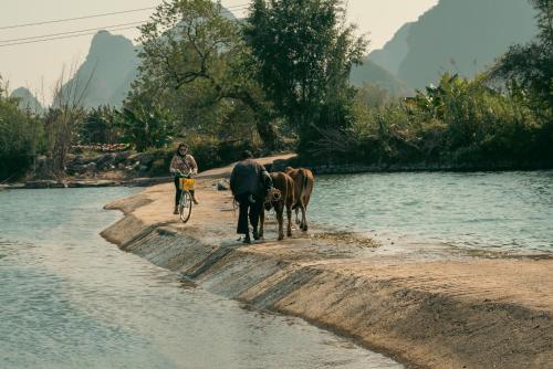 The Apsara Lodge