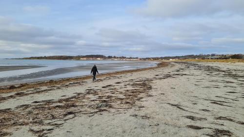 strand, Minihuset nära havet (Minihuset nara havet) in Varberg