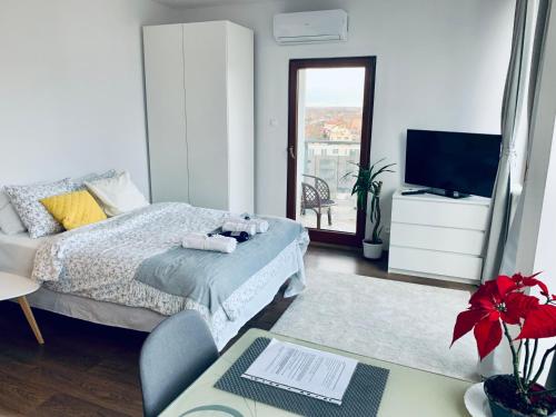 City view Apartment, Cracovia (foto 6)