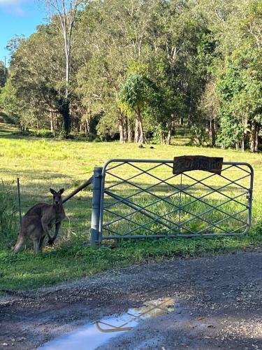 Rural Self Contained 3 bedroom Cottage on acreage,