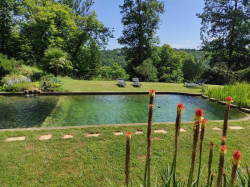 Maison de charme, piscine naturelle Dordogne Périgord