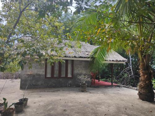 The Bananas Bungalow