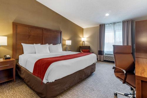 Comfort Inn Glenmont - Albany South