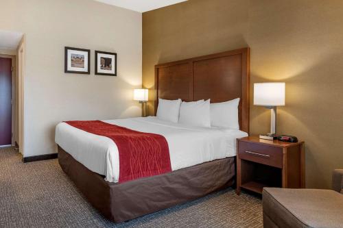 Comfort Inn Glenmont - Albany South