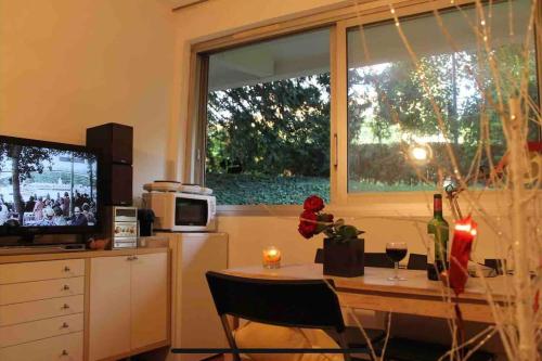 Nice studio in the heart of Sceaux