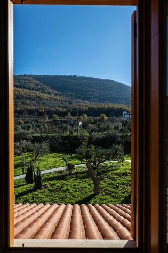 Навколишнє середовище, Tenuta Pascarella Bed & Breakfast in Frasso Telesino