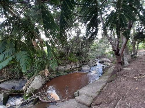 Pousada Natalia Canella in มอกี้ ดาส ครูเซส