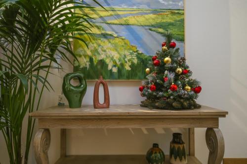 La Boheme Boutique Casa Soare - image 4
