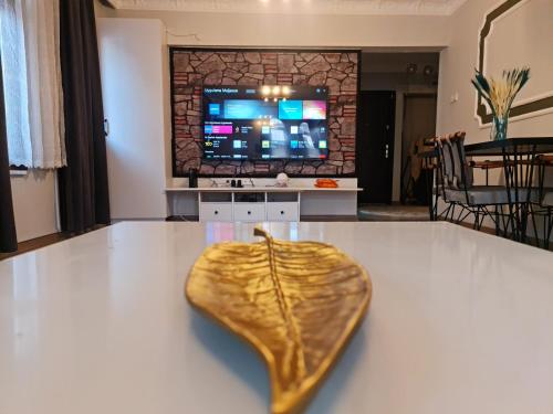 luxury apartment with fireplace
