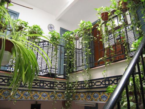 Pensión La Montoreña - main image