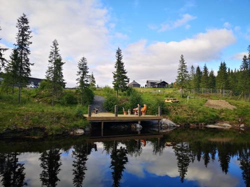 . Blåfjell hundesenter fjellhotell